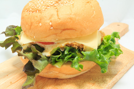Close up of hamburger layersの写真素材
