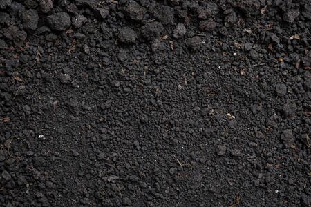 Top view, close-up of Organic black soil texture pattern background. Can be used planting tree. Surface has grunge and rough. Feature of compost fertile suitable for gardening and agriculture farm.の写真素材