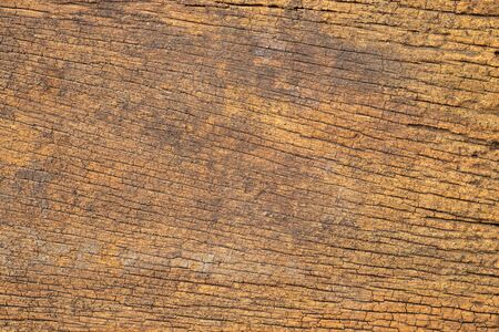 Natural brown old wood texture background. Abstract grunge surface rough pattern. Blank copy space for design backdrop and decoration.の写真素材