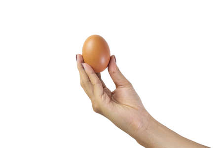 Isolated Asian women hand holding egg on white background with copy space for message.の写真素材