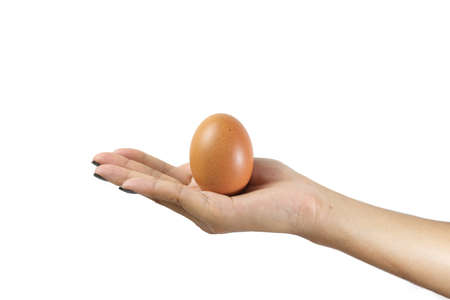 Isolated Asian women hand holding an egg on a white background, with copy space for message.の写真素材
