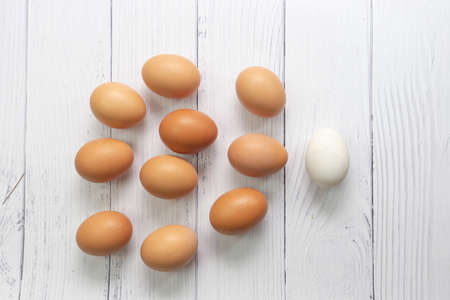 Brown egg and white look like sperm swimming toward into ovary of women concept, Human Sperm to...