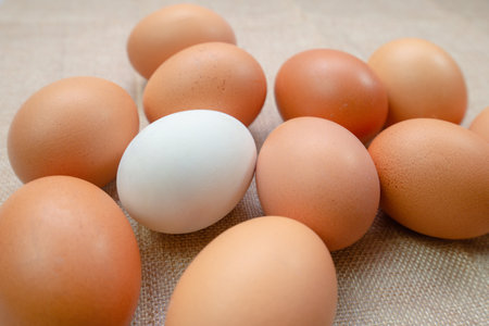 A white egg inside many egg on sack background. chicken egg inside duck egg or Different human in the social or different business concept. Selective focus. Life of Alone concept.の写真素材