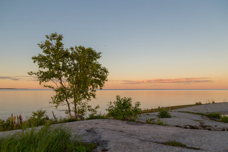 view of Ladoga skerries at sunset in the republic of karelia. High quality photoの写真素材
