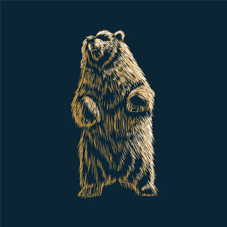 Bear Polar Grizzly Teddy Mammal Chordata Arctoidea Predator carnivore Ursidae hibernation wildlife forest vector illustrationのイラスト素材