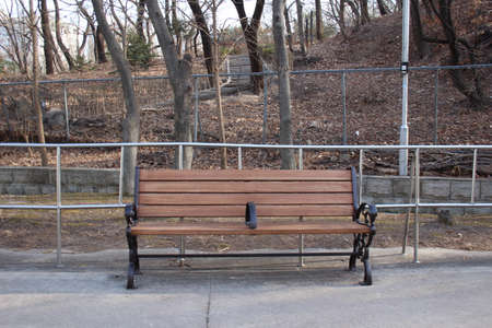 in korea nature, love, tree, people, like, happy, everything photo