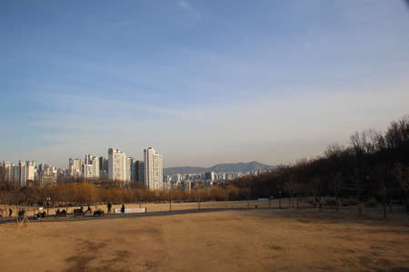 in korea nature, love, tree, people, like, happy, everything photo