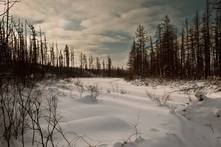River under the snow in the taigaの写真素材