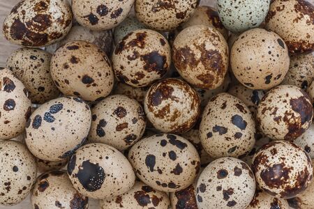 scattering of small quail eggs for cooking