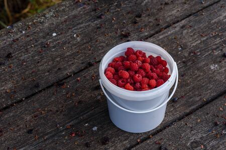 Fresh and ripe raspberry in the bucket on the weathered wooden table in gardenの写真素材