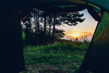 A view from inside a tent after waking up in the forest on Volga riverの写真素材