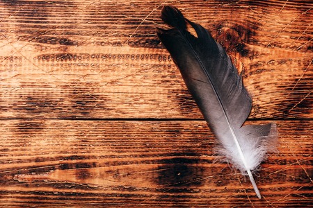 One hawk feather over old wooden tableの写真素材