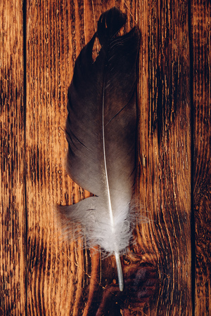One hawk feather over old wooden tableの写真素材