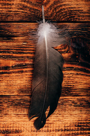 Hawk feather over old wooden table. Overheadの写真素材