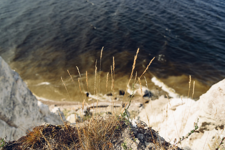 Grass on the edge of cliff. Selective focusの写真素材