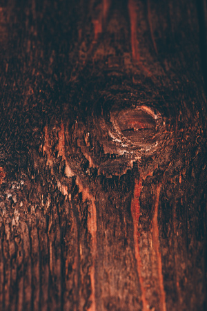 Background pf old dark wooden surface. Copy spaceの写真素材