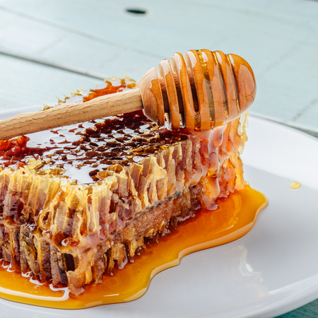 Delicious honeycomb on white plate with wooden honey dipperの写真素材