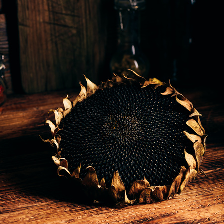 Dry sunflower head on the wooden tableの写真素材