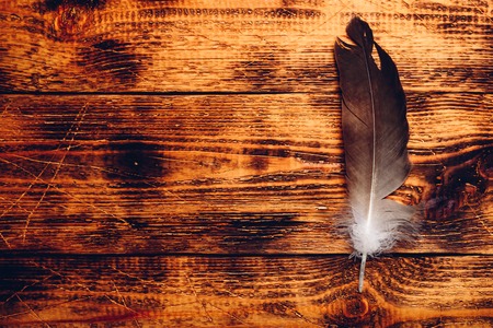Hawk feather over old wooden table. Copy spaceの写真素材
