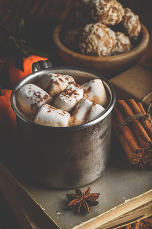Rustic mug of hot chocolate with marshmallows in rustic settingの写真素材