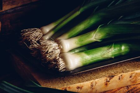 Fresh green leek on rustic metal tray