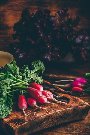Bunch of homegrown red radish on cutting boardの写真素材