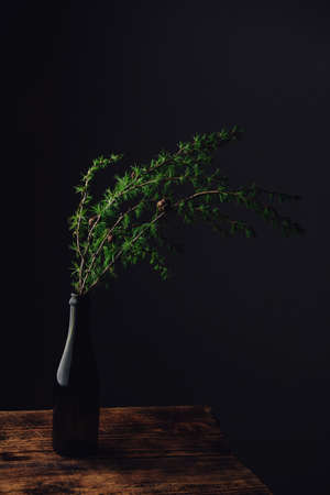 Fresh green branch of larch in glass bottle on rustic wooden tableの写真素材