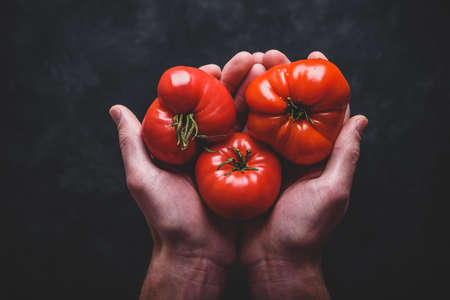 Hands holding fresh red tomatoes. View from aboveの写真素材