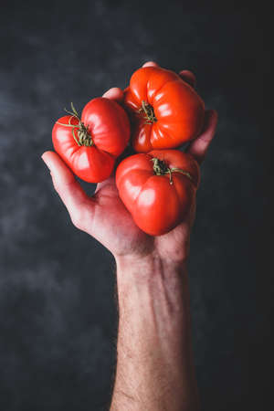 Hand holding fresh red tomatoes. View from aboveの写真素材