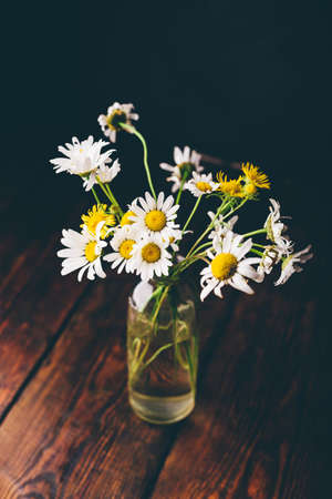 Small bouquet of wild chamomile flowers in glass vase on wooden tableの写真素材