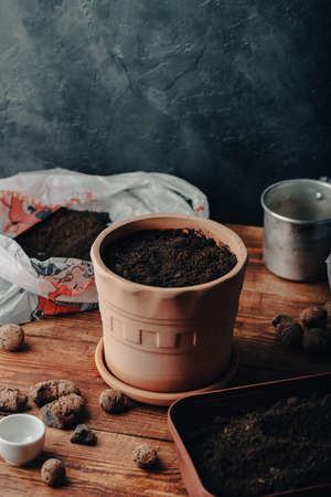 Terracotta Pot with Potting Soil and Sowed Herbs Seedsの写真素材
