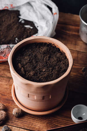 Clay Pot Filled with Potting Soil and Sowed Thyme Seeds on Wooden Tableの写真素材