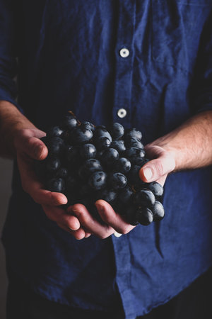 Close Up of Blue Grape in Man Handsの写真素材