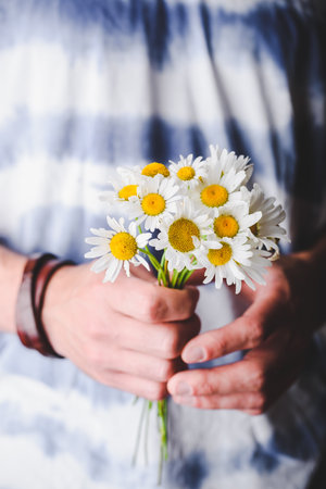 Bouquet of Wild Chamomile Flowers in Male Handsの写真素材