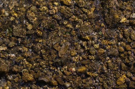 Texture of rocks in the river