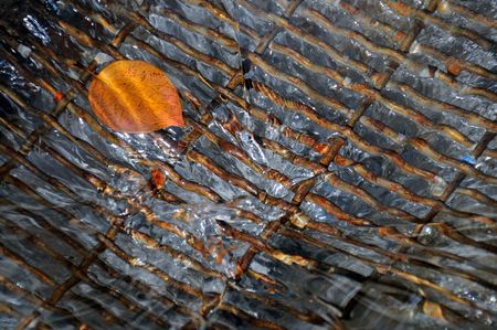 First autumn leaf in drainの写真素材