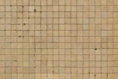 Floor texture の写真素材