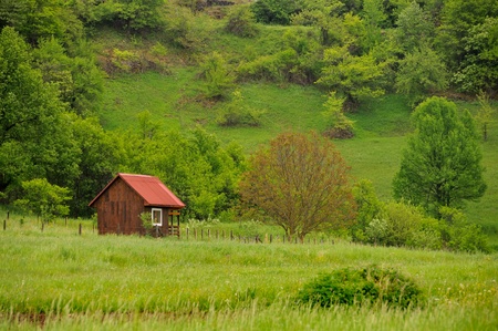 Red cottage in nature
