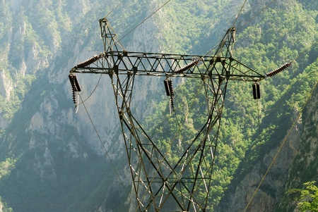 Power transmission line in the wild