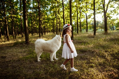 Young pretty girl in dress and hat walking, playing with white dog in park at sunset.の写真素材