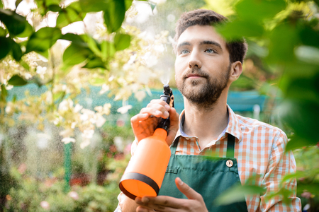 Young handsome gardener smiling, watering, taking care of flowers.の写真素材