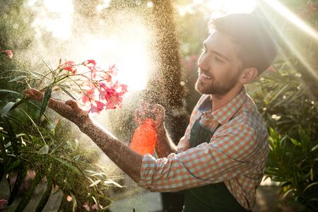 Young handsome gardener smiling, watering, taking care of flowers.の写真素材