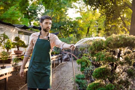 Young handsome gardener smiling, watering, taking care of plants.の写真素材