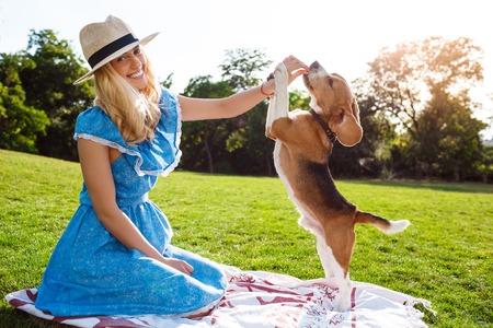 Young beautiful blonde girl in blue dress smiling, walking, playing with beagle dog in park.の写真素材