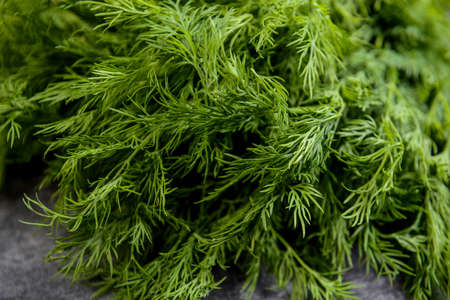 Picture of greens on grey table. Macro.