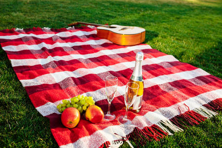Photo of guitar, fruit, champagne and stemwares on plaid in park.の写真素材
