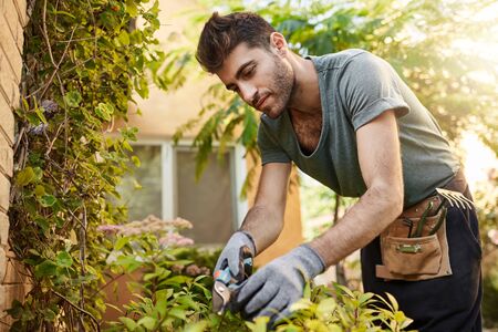 Outdoors portrait of young attractive bearded hispanic man in blue t-shirt and gloves working in garden with tools, cutting leaves, watering plants. Countryside lifeの写真素材