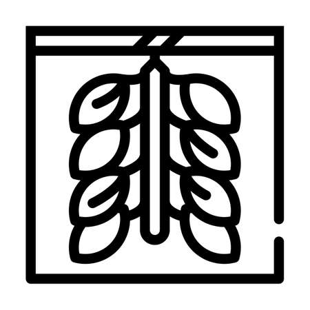 oyster farming line icon vector black illustrationのイラスト素材