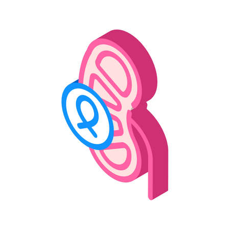kidneys cancer isometric icon vector illustration signのイラスト素材
