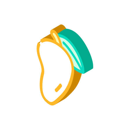 tropical fruit mango isometric icon vector illustrationのイラスト素材